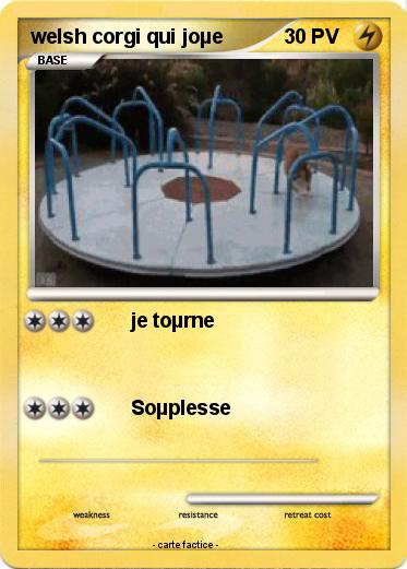 Pokemon welsh corgi qui joµe