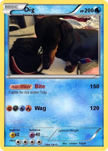Pokemon Dig