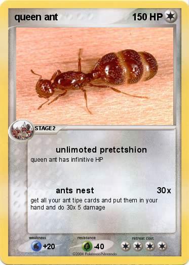 Pokemon queen ant
