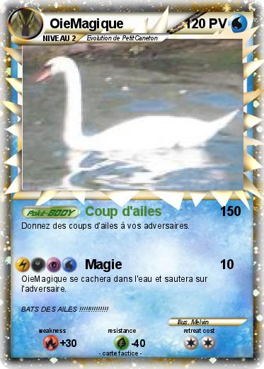 Pokemon OieMagique