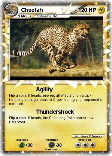 Pokemon Cheetah