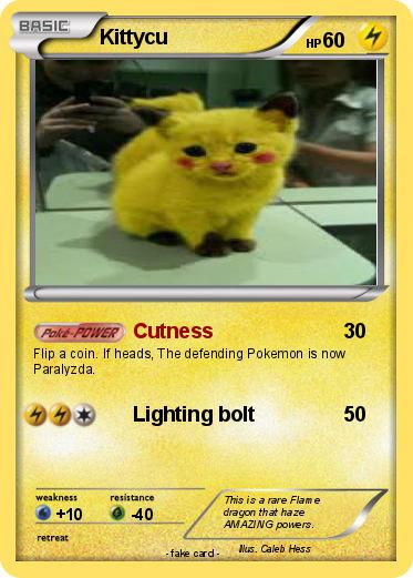 Pokemon Kittycu