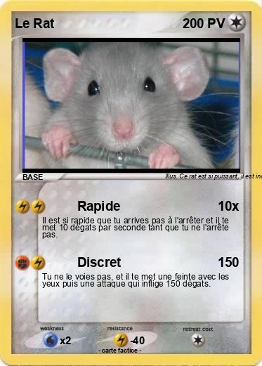Pokemon Le Rat