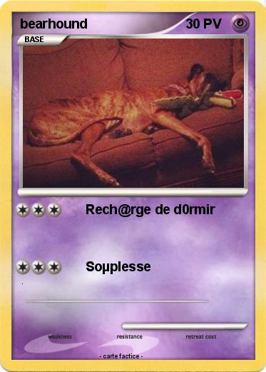 Pokemon bearhound