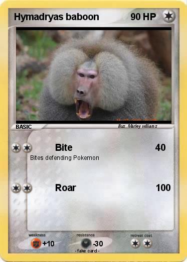 Pokemon Hymadryas baboon