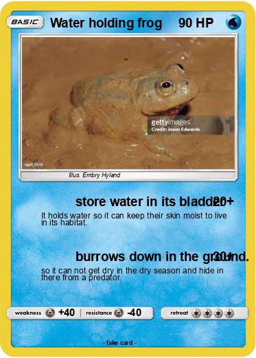 Pokemon Water holding frog