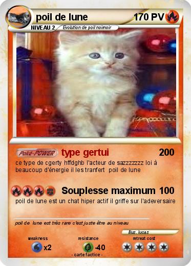 Pokemon poil de lune