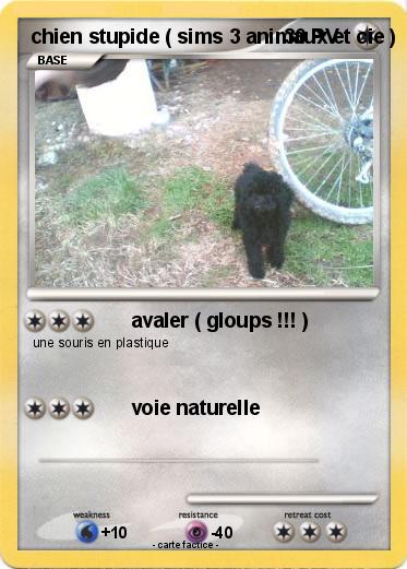 Pokemon chien stupide ( sims 3 animaux et cie )