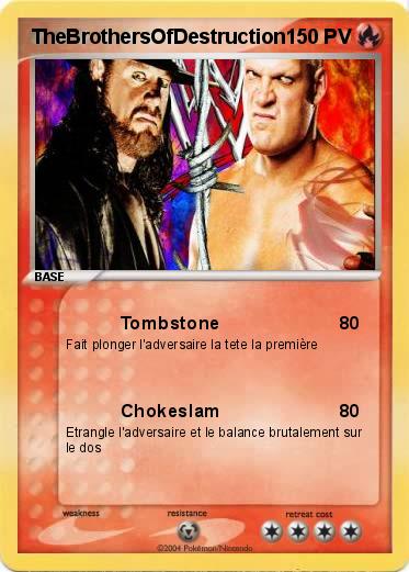 Pokemon TheBrothersOfDestruction
