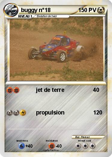 Pokemon buggy n°18
