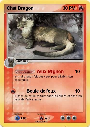 Pokemon Chat Dragon