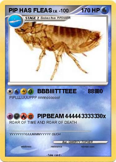 Pokemon PIP HAS FLEAS