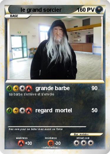 Pokemon le grand sorcier
