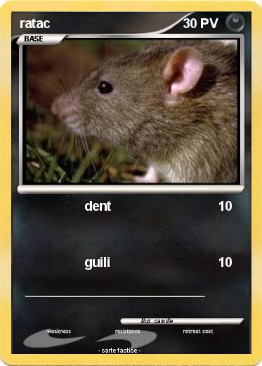 Pokemon ratac