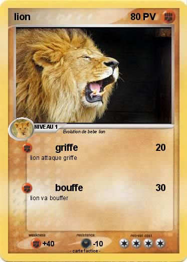 Pokemon lion