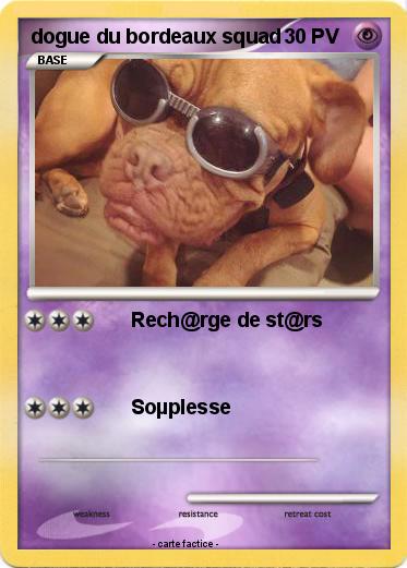Pokemon dogue du bordeaux squad