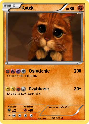 Pokemon Kotek