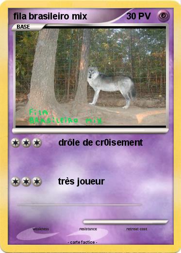 Pokemon fila brasileiro mix