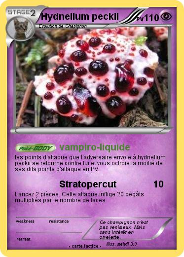 Pokemon Hydnellum peckii