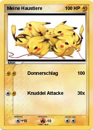 Pokemon Meine Haustiere
