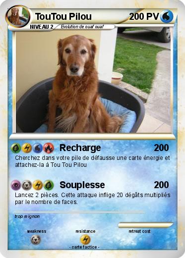 Pokemon TouTou Pilou