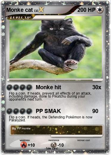 Pokemon Monke cat