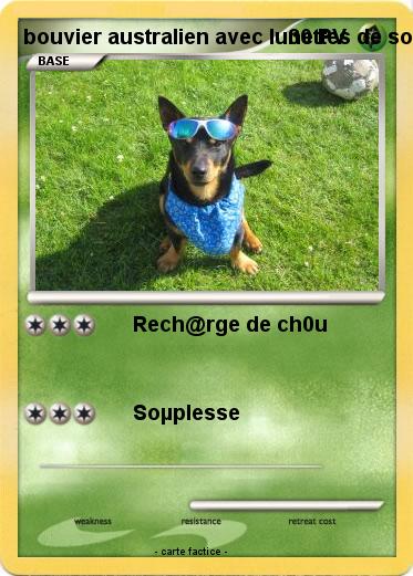 Pokemon bouvier australien avec lunettes de soleil
