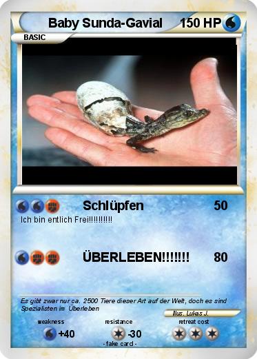 Pokemon Baby Sunda-Gavial