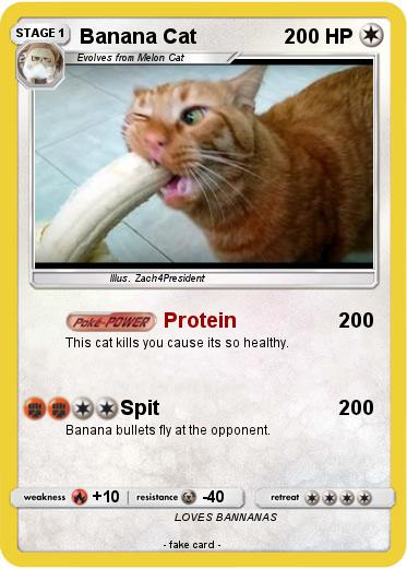 Pokemon Banana Cat