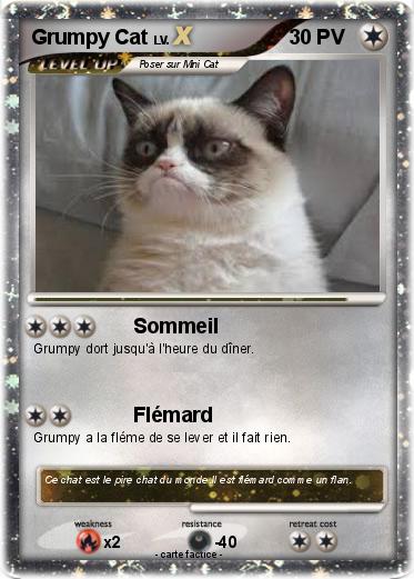 Pokemon Grumpy Cat