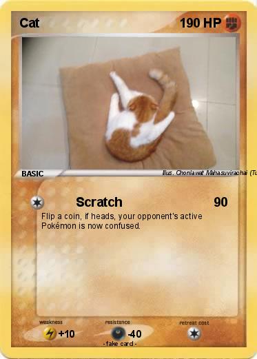Pokemon Cat