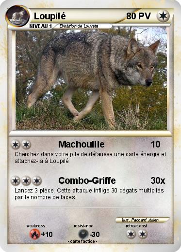 Pokemon Loupilé