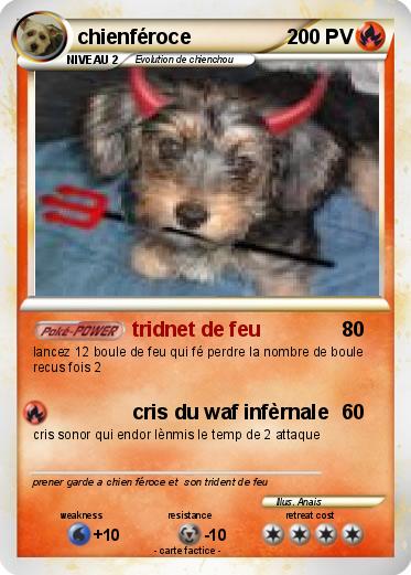 Pokemon chienféroce