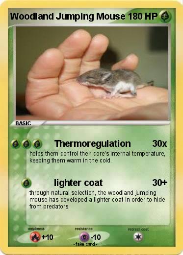 Pokemon Woodland Jumping Mouse