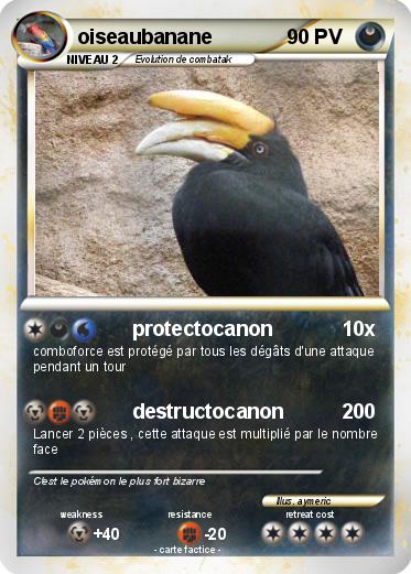 Pokemon oiseaubanane