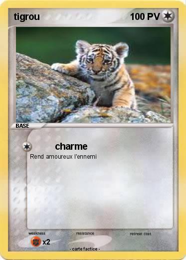 Pokemon tigrou