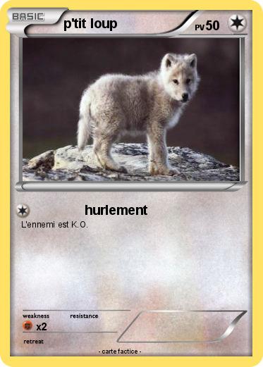 Pokemon p'tit loup
