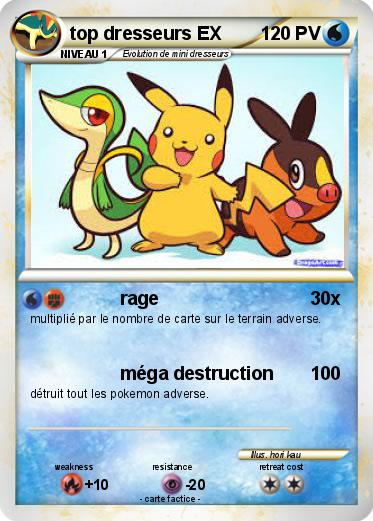 Pokemon top dresseurs EX