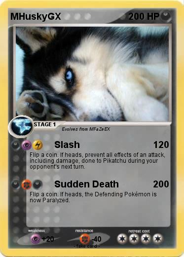 Pokemon MHuskyGX