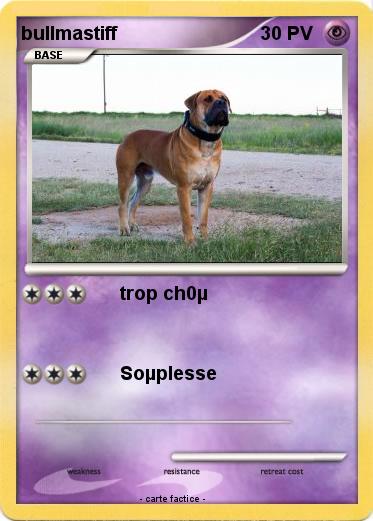 Pokemon bullmastiff