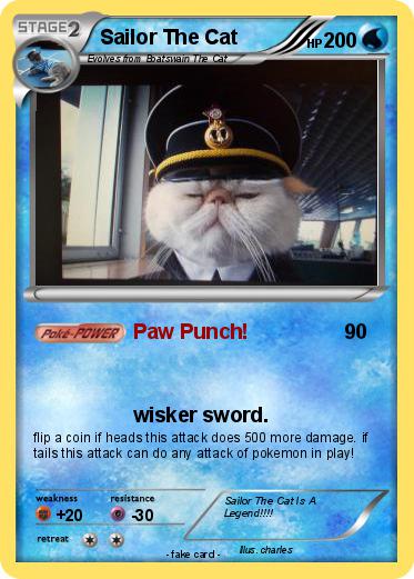 Pokemon Sailor The Cat