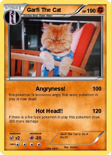 Pokemon Garfi The Cat
