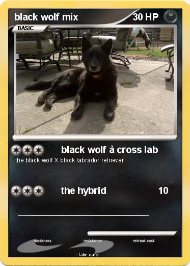 Pokemon black wolf mix