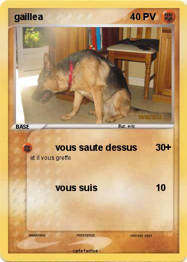 Pokemon gaillea
