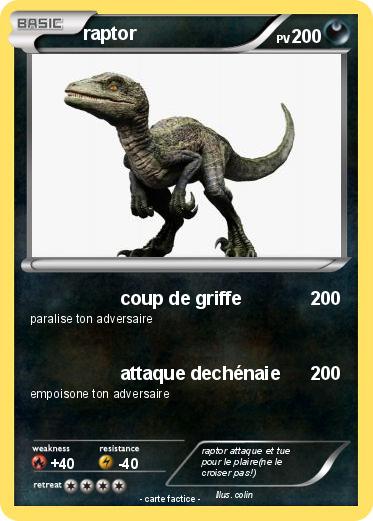 Pokemon raptor