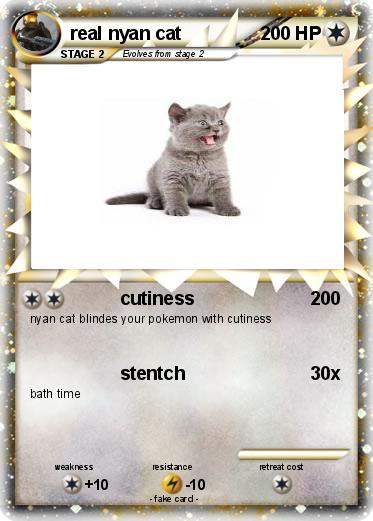Pokemon real nyan cat