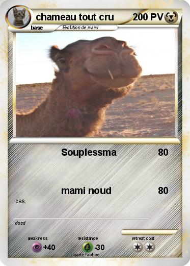 Pokemon chameau tout cru