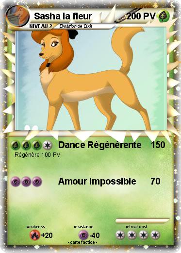 Pokemon Sasha la fleur