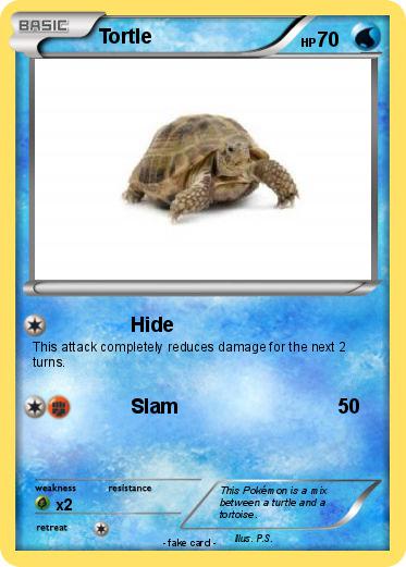 Pokemon Tortle