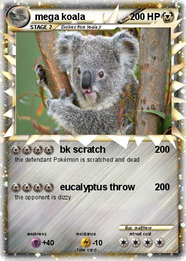 Pokemon mega koala